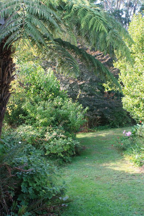 Strathmore Farm B&B - Tourism Noosa 21