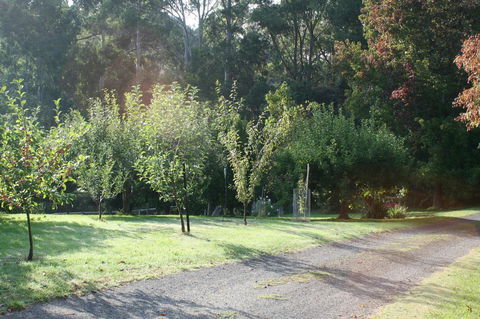 Strathmore Farm B&B - Tourism Noosa 33