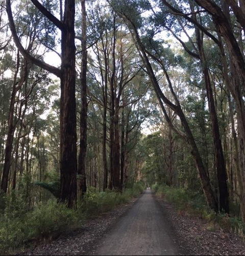 Strathmore Farm B&B - Tourism Noosa 4
