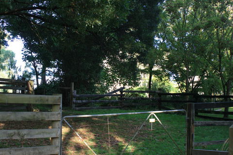 Strathmore Farm B&B - Tourism Noosa 24