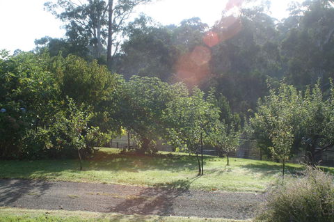 Strathmore Farm B&B - Tourism Noosa 19