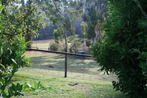 Strathmore Farm B&B - Tourism Noosa 30