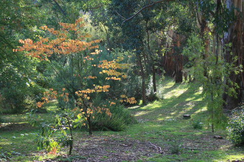 Strathmore Farm B&B - Tourism Noosa 25