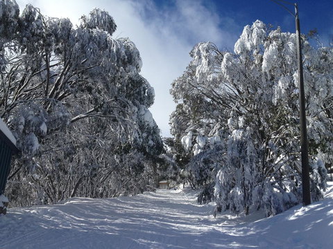 Maisonettes Falls Creek - Tourism Noosa 17