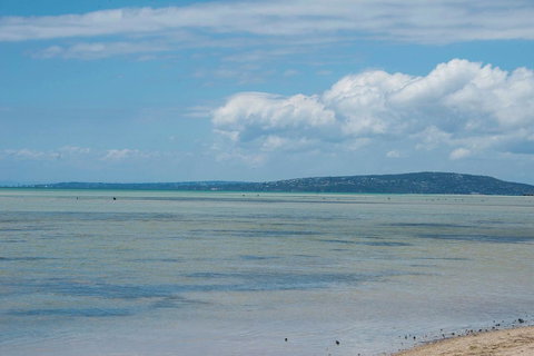 Jettycove Beach House - Tourism Noosa 20