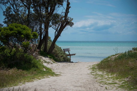 Jettycove Beach House - Tourism Noosa 26