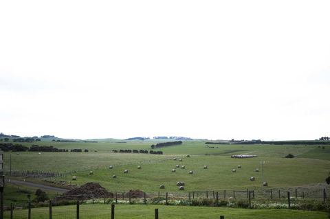 Stunning Waterfront Only 10 Minutes To Phillip Island - FREE EV UNIT 7kW For Electric Cars - Pet Friendly, Fireplace FREE WIFI Wine & Chocolates - Tourism Noosa 10