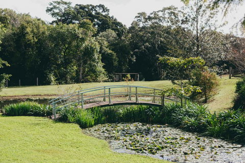 The Eumundi Dairy - Tourism Noosa 0