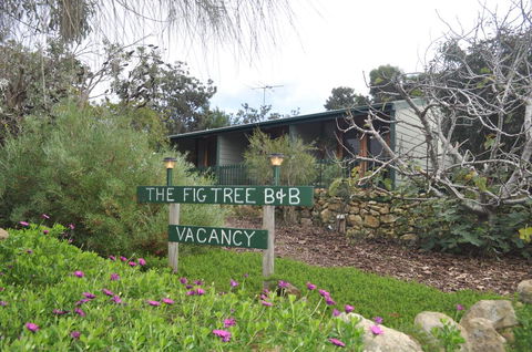 The Fig Tree B&B - Tourism Noosa 0