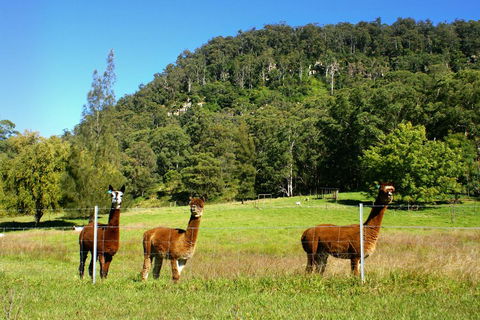 The Heavens Mountain Escape - Tourism Noosa 2