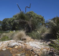 The Lakes Beachfront Holiday Park - Tourism Noosa