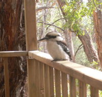 The Ledge Holiday House - Tourism Noosa