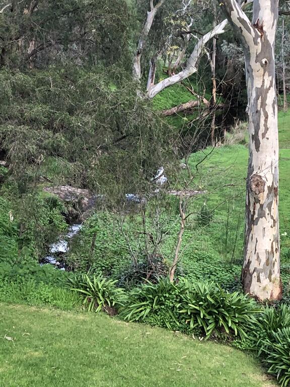 Cockatoo Valley SA Tourism Noosa