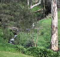 The Miners Cottage Barossa - Tourism Noosa