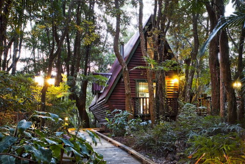 The Mouses House Rainforest Retreat - Tourism Noosa 1