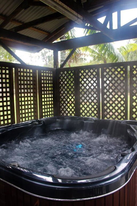 The Ole Gumtree - Kookaburras Nest - Tourism Noosa 3