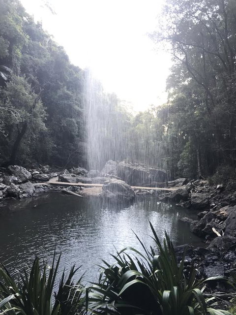 The Sanctuary At Springbrook - Tourism Noosa 3