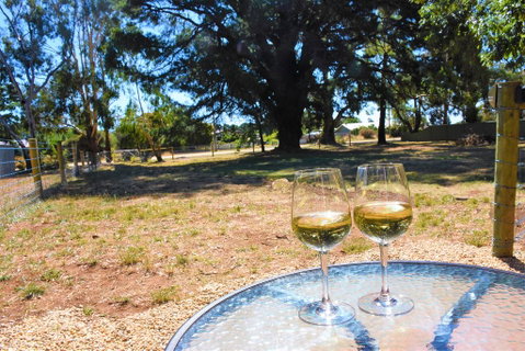The Shelter Shed Garden Studio Apartment - Tourism Noosa 3