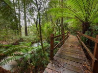Book Tanybryn Accommodation Vacations Tourism Noosa Tourism Noosa