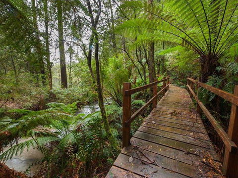 The Source, Otways - Tourism Noosa 0