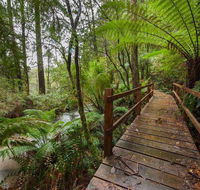 The Source Otways - Tourism Noosa