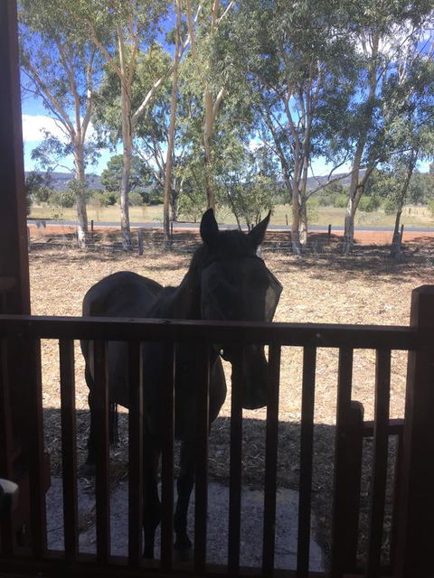 Thie My Chree Retreat - Tourism Noosa 3