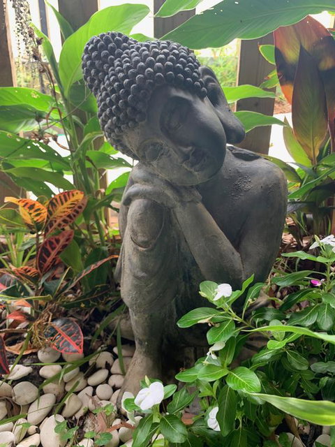 Tranquil Spa Retreat - Tourism Noosa 3