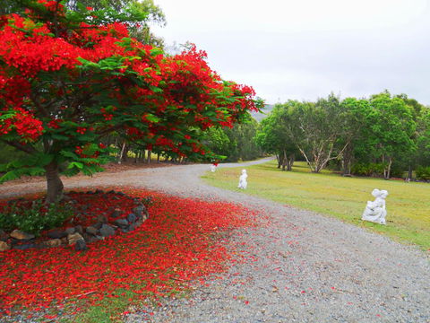 TRANQUILO BEACH HOUSE - Tourism Noosa 1