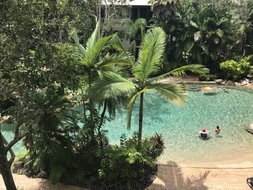 Book Cairns Accommodation Tourism Noosa Tourism Noosa