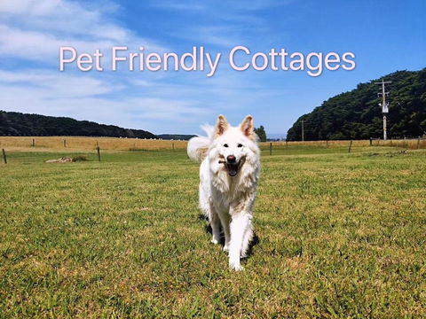 Twelve Apostles Motel & Country Retreat - Tourism Noosa 2