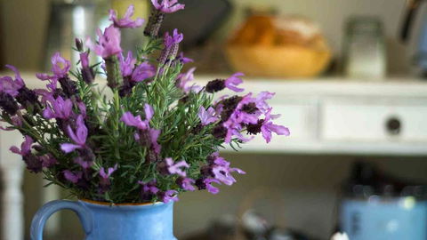 Vicarage View Cottage - Tourism Noosa 2