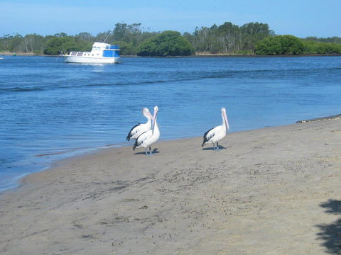 Views To Yaccaba Headland - Tourism Noosa 2