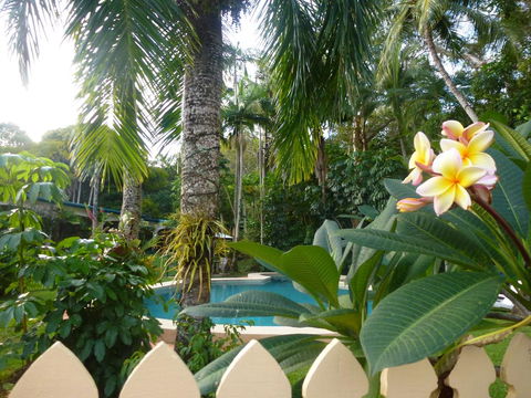 Villa Marine Holiday Apartments Cairns - Tourism Noosa 1