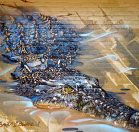 Walkabout Lodge - Tourism Noosa