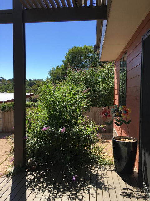 Daydream Cottage - Tourism Noosa 10
