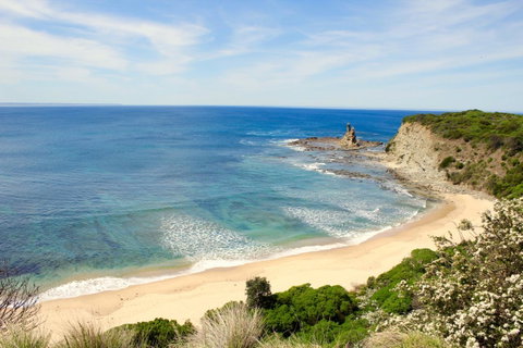 Perfect For Family Fun - Tourism Noosa 10