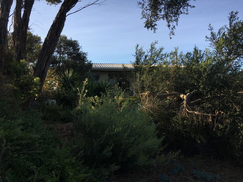 Andrew's On Topaz - Tourism Noosa 7