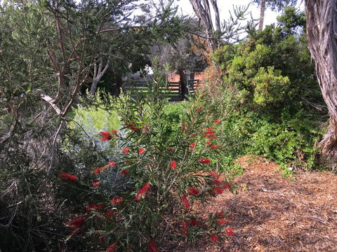 Andrew's On Topaz - Tourism Noosa 1