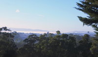 Book Monbulk Accommodation Vacations Tourism Noosa Tourism Noosa