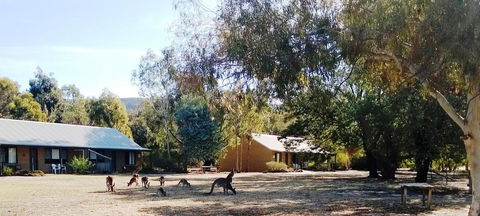Grampians Pomonal Cottages - Tourism Noosa 6