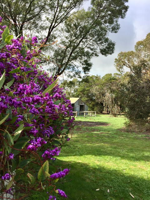 Grampians Pomonal Cottages - Tourism Noosa 21