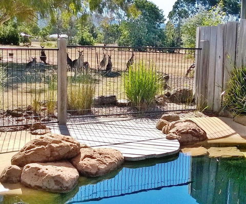 Grampians Pomonal Cottages - Tourism Noosa 24