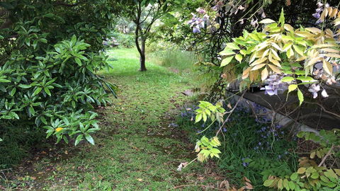 Lorelei Bed & Breakfast - Tourism Noosa 10