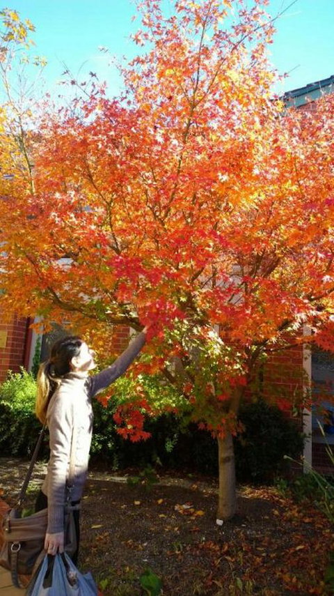 Australian Home Away @ Box Hill 2 Bedroom - Tourism Noosa 13