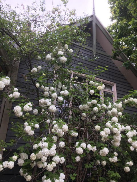 Oak Tree Lodge - Tourism Noosa 21