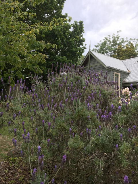 Oak Tree Lodge - Tourism Noosa 25