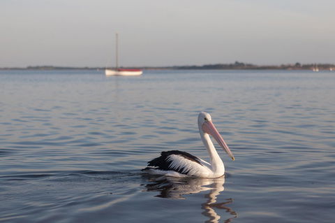 Oak Tree Lodge - Tourism Noosa 17