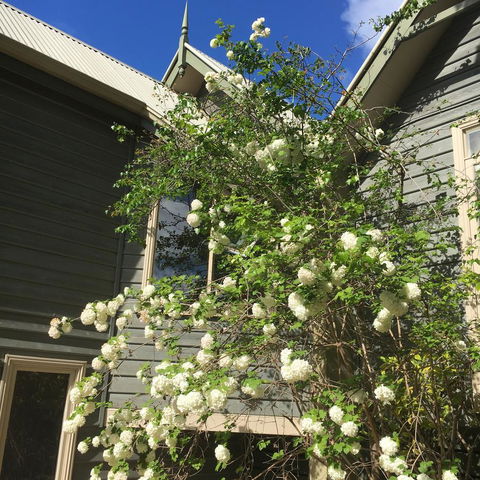 Oak Tree Lodge - Tourism Noosa 16