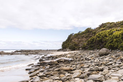 Points South By The Sea - Tourism Noosa 9