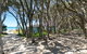 Perfect Blairgowrie Beach House - thumb 17